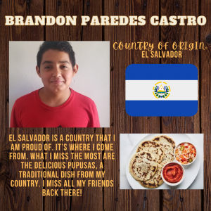 Brandon Paredes Castro